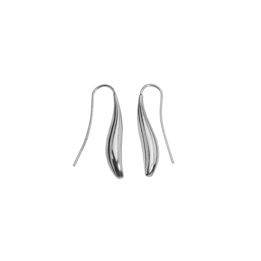 Long  Shaped Silver Earrings